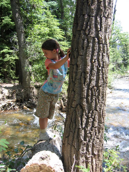 2008 White Family Reunion at Big Rock Candy Mountain, Utah